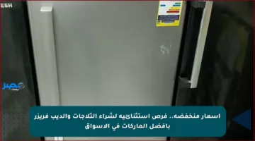 أسعار منخفضة.. فرص استثنائية لشراء الثلاجات والديب فريزر بأفضل الماركات في الأسواق